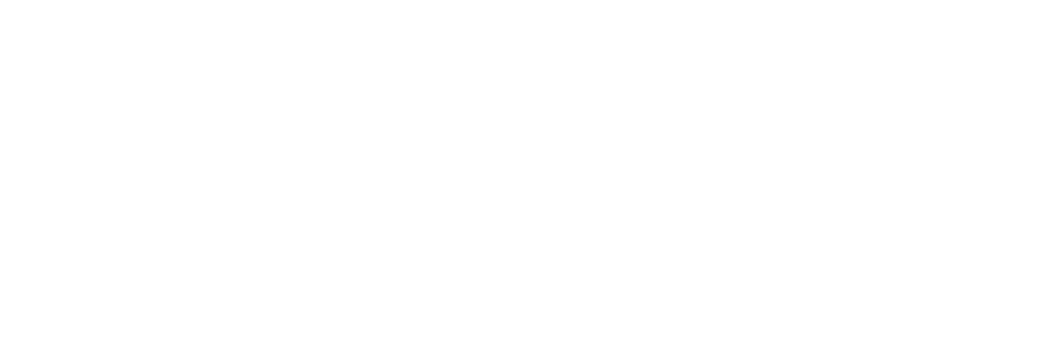 WMSS Logo-02
